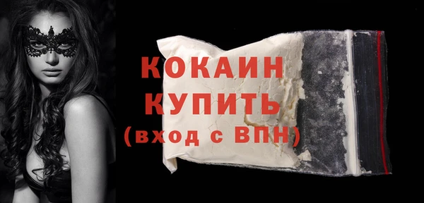 прущие грибы Мегион