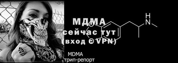 прущие грибы Мегион