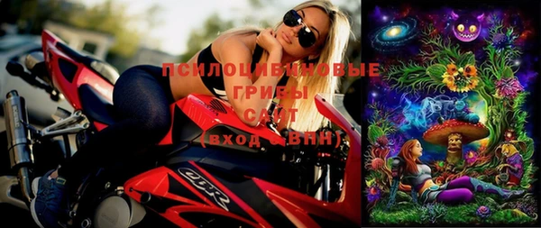 прущие грибы Мегион