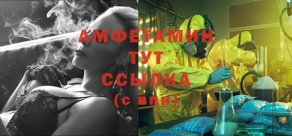 прущие грибы Мегион