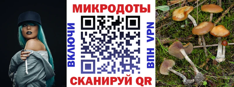 Галлюциногенные грибы прущие грибы  Дмитровск 