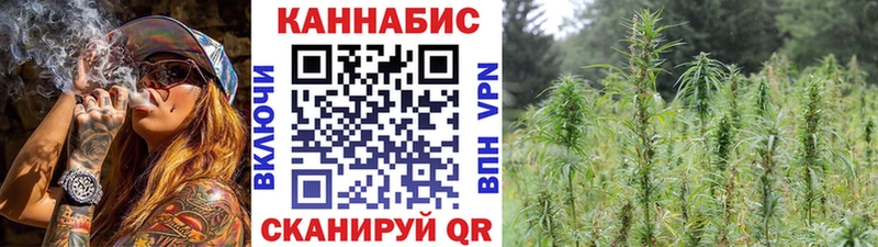 Бошки Шишки гибрид  KRAKEN ссылки  Дмитровск 